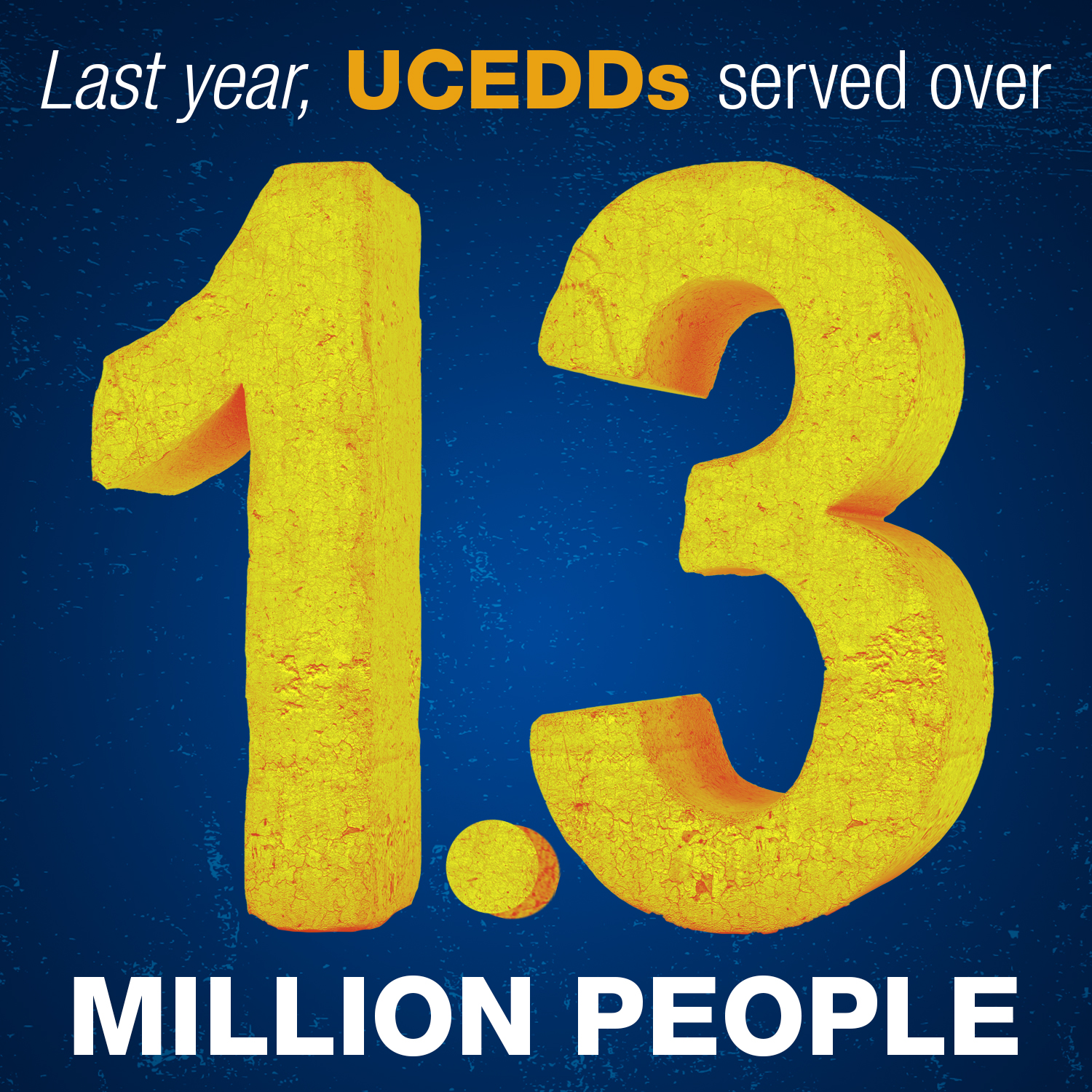 Last Year UCEDDs served over 1.3 million people