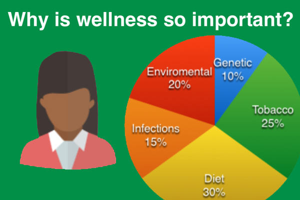 Why is Wellness so important? Pie chart: 15% infections, Enironmental 20%, Genetic 10%, Tobacco 25%, Diet 30%